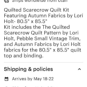 Same Sky Quilt Kit Using Curio Collection by Ruby Star Society Pattern ...