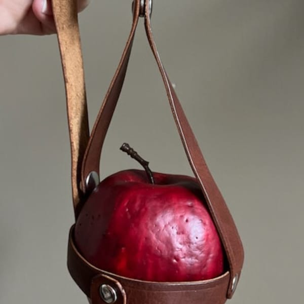 Poison Apple Queen Costume