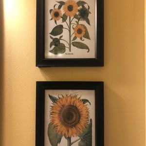 Jill ha añadido una foto de su compra