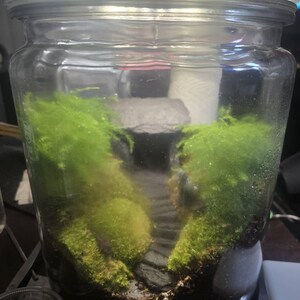 Mark さんが購入した商品の写真を追加しました