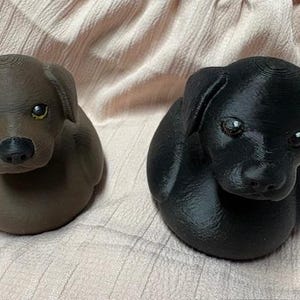 Tammy added a photo of their purchase
