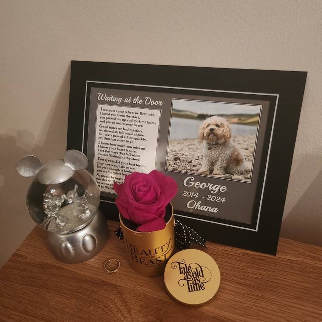 Scribble Paw Dog Magnet - I Love My Jack Russell Terrier - 5.5 Inch Square - Car Or Fridge