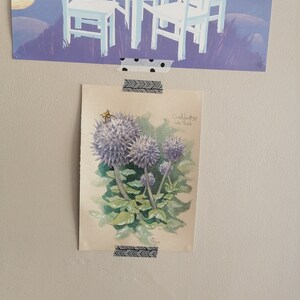 Adrian added a photo of their purchase