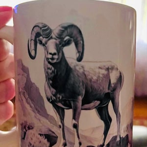 Melissa added a photo of their purchase