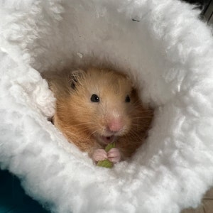 Genevieve ha añadido una foto de su compra