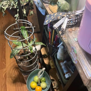 Lenatilda added a photo of their purchase