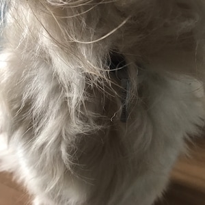 Sandrine heeft een foto van de aankoop toegevoegd