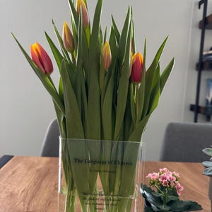 Acrylic Flower Book Vase Home Décor Book Themed Gifts for Reader, Book Lover and Flower Enthusiasts