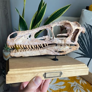 Etsy-koper heeft een foto van de aankoop toegevoegd
