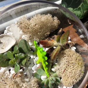 molly added a photo of their purchase