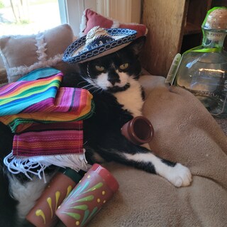 Jaguars Mexican Jarritos - Set Da 6 Bicchierini In Argilla Fatti A Mano Per Tequila E Decorazione