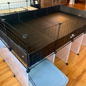 David added a photo of their purchase
