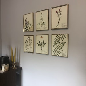 Katelyn さんが購入した商品の写真を追加しました