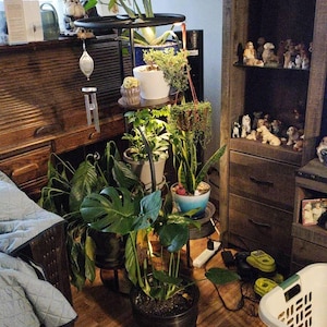 Tiffany added a photo of their purchase