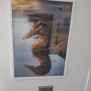 Stephanie added a photo of their purchase