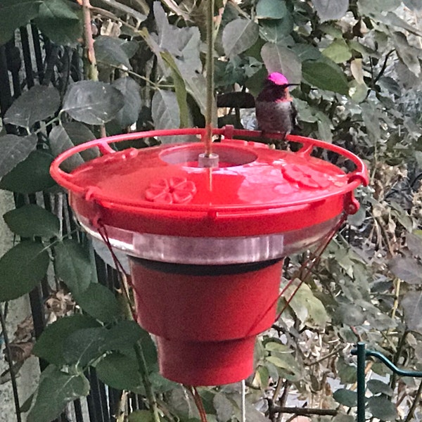 Hummer Hearth Hummingbird Feeder Heater (feeder Excluded), Made in the ...