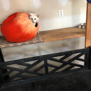 Jennifer added a photo of their purchase