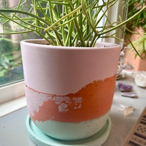 C added a photo of their purchase