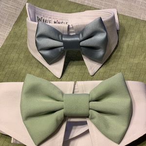 Tara added a photo of their purchase