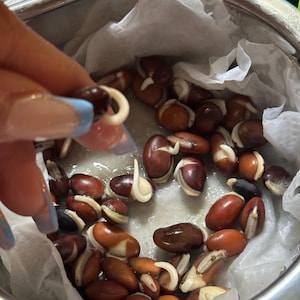 Tatjana さんが購入した商品の写真を追加しました
