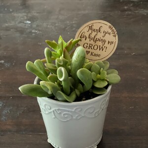 Thank You for Helping Me Grow Succulent Stakes Teacher Gift Plant ...