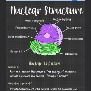 Michelle added a photo of their purchase