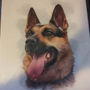 Shelby added a photo of their purchase