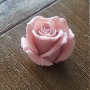 Susan added a photo of their purchase