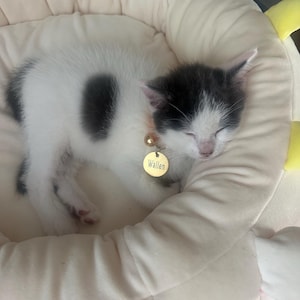 Denise added a photo of their purchase