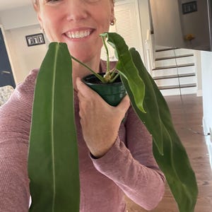 Dana added a photo of their purchase