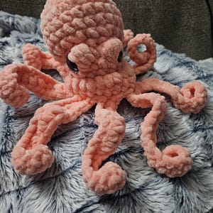 Rachael added a photo of their purchase
