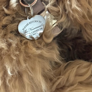 Rachel added a photo of their purchase
