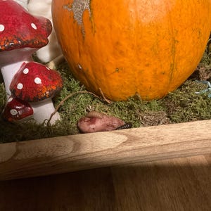Rick added a photo of their purchase