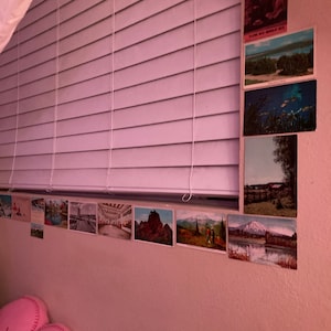 Makenzie hat ein Foto des gekauften Artikels hinzugefügt