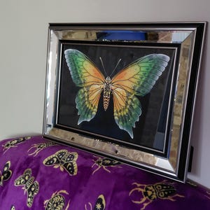 Amy added a photo of their purchase