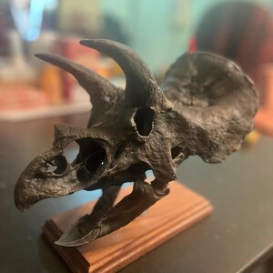 トリケラトプスの頭蓋骨レプリカ - 3Dプリントされた恐竜の化石アート