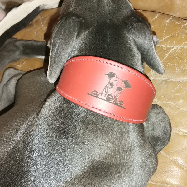 COLLARE PELLE SOFT BIANCO PER LEVRIERO, WHIPPET, PLI | Code Vanitose - Foto 10