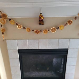 Dried Citrus Garland