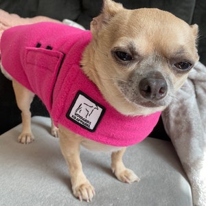 chihuahua fleece