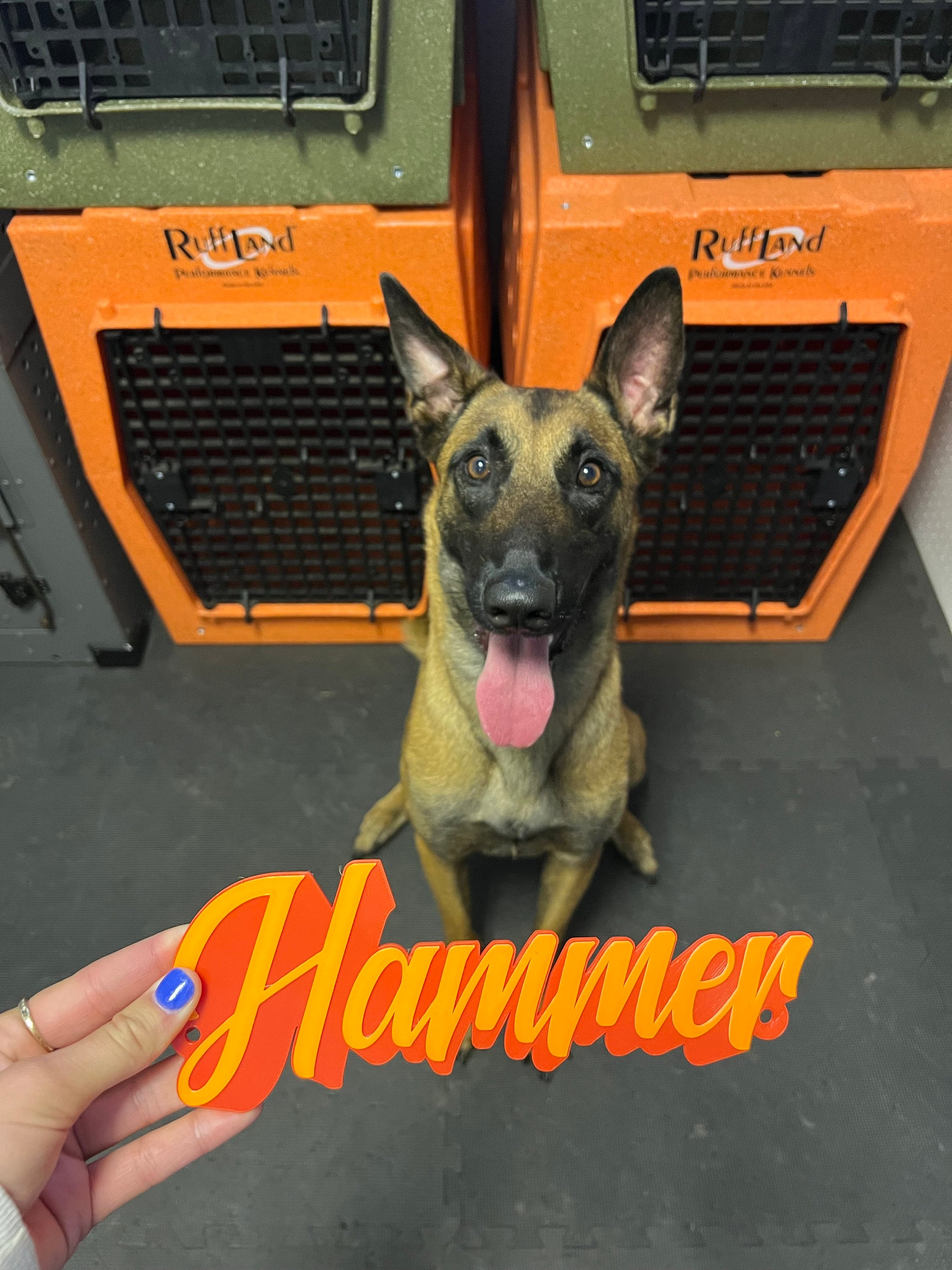 Mr. Brightside Personalized Pet Crate Tag, Dog Kennel Sign