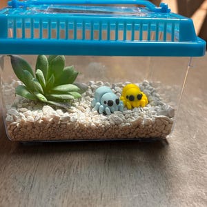Dora added a photo of their purchase
