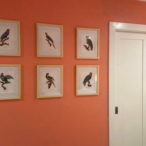 Lauren heeft een foto van de aankoop toegevoegd