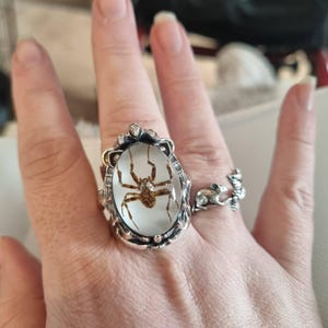 vintageヴィンテージ 蜘蛛スパイダー ポイズンリング指輪silver925 Manticore spider for Marilyn Manson, SFD-R-134-SPIDER - Etsy 日本