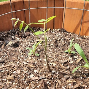 Austin ha añadido una foto de su compra