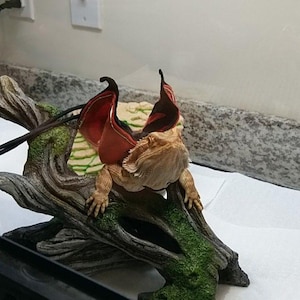 Landys added a photo of their purchase