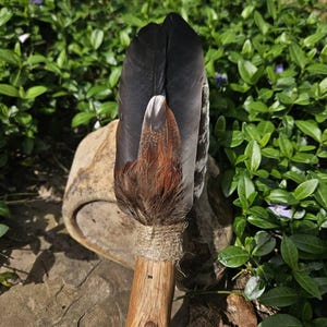 Lorraine added a photo of their purchase