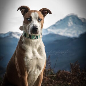 maliah added a photo of their purchase