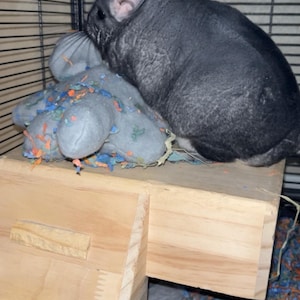 KC added a photo of their purchase