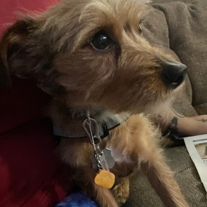 Sammie added a photo of their purchase