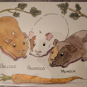 Noah a ajouté une photo de son achat